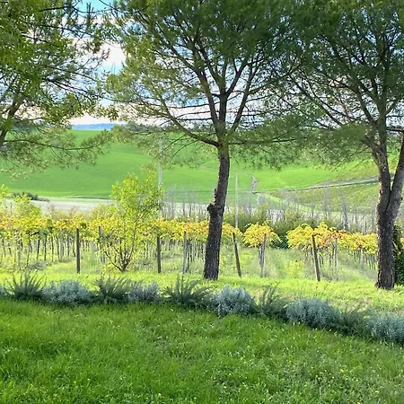 Villa La Dolce *